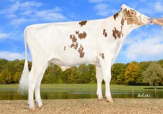 Familymember KOE Mean PP Red VG-88