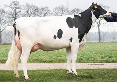 KOE Meghan P RDC VG-89