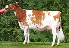 Koepon Ranger Doma 58 Red 