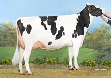 Koepon Star P Range 95 P RDC VG-87