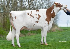 Lakeside UPS Red Range VG-86