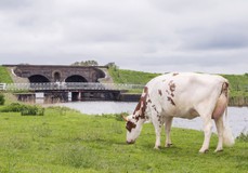 Lakeside Ups Red Range VG-86