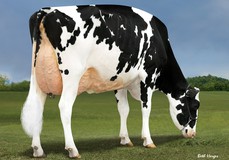 Larcrest Circadian EX-92