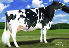 Larcrest Outside Champagne EX-90