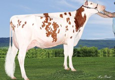 Lesperron Aikman Sofia-Red EX-90