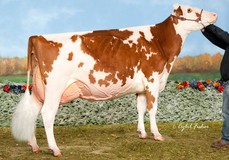 Lochdale Shaquille Missy Red EX-93