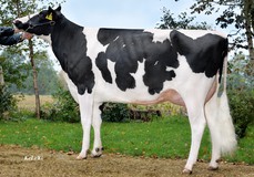 Brigitta PP RDC VG-87