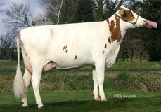 JU Lonia 95 VG-86