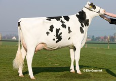 Malibu VG-88