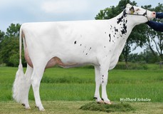 MAR Aranja VG-86