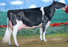 MD Delight Durham Atlee (2) EX-92