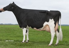 Midwolder Marjon 15 VG-87