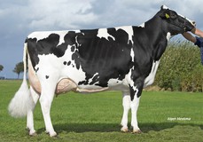 Midwolder Marjon 53 VG-87