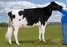 Miss Shottle Sadie-ET EX-93