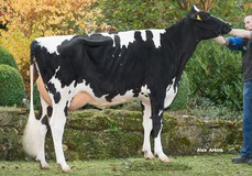 Missy P RDC VG-87