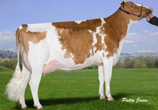 Misty Springs MB Brighter Red VG-87