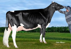 Misty Springs MOM Brenna RDC VG-86