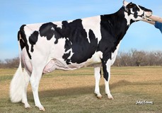 Morningview Baxter D-Rae EX-92