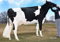 Morningview Super Roxy RDC EX-90