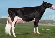 Ms Apples Aria RC EX-92