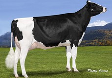 MS Dreary Delorean-ET EX-93