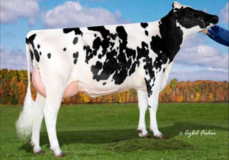 Ms Kool Coin2324 VG-87