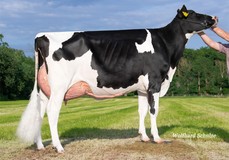 Nienke VG-87