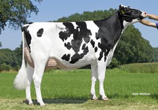 Schreur Serena 13 PP RDC VG-87