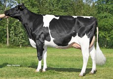 NRP Alisha RDC VG-89