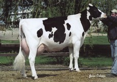 O-Bee Aaron Jinnie ET EX-91