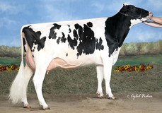 Our-Favorite Obvious EX-93