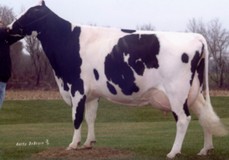 Glenn-Ann Miss Pepperdine VG-89