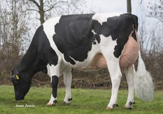 PG De-Su Commander 9026 VG-85