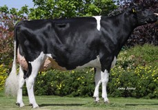PH Alice P VG-85