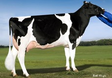 Pine-Tree 2149Robst 4846 VG-87