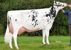 WEU Pioneer Extra VG-86