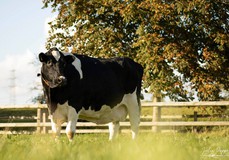 Poppe Fienchen 580 RDC VG-89 Poppe Fienchen 580 RDC VG-89