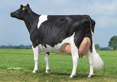 Poppe Fienchen 580 RDC VG-89