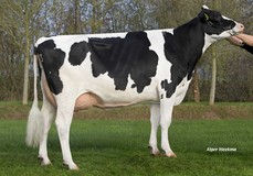 Poppe Fienchen 803 RDC VG-86