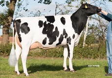 Prinzessin 50 VG-86