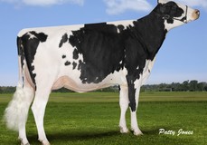 Rainyridge Super Beth RDC VG-86