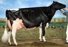 Rainyridge Talent Barbara RDC EX-95