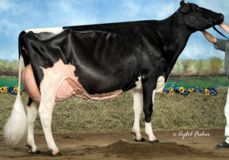 Rainyridge Talent Barbara RDC EX-95