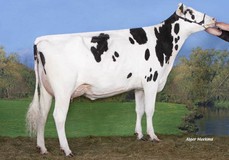 Rainyridge Gerard Enemy RC VG-85