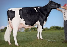 Ralma Goldwyn Clarinet EX-91