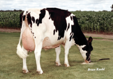 Ralma Juror Faith EX-91