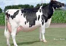 Ralma Juror Faith EX-91