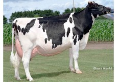 Ralma Juror Faith EX-91