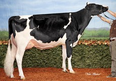 Ralma Manoman Banjo EX-92