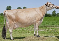 Rapid Bay Just Wait Dee Dee EX-92